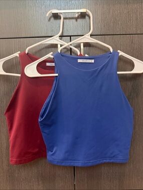 ReoRia Blue & Burgundy High-Neck Cropped Tank Tops